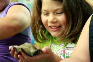 Gull Wings Touch Tank